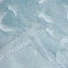 Плед Ягуар 150х200см, небесный, велсофт 280г/м, пэ100% 10099971