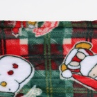 Плед Адель Рождество 100х140см, велсофт 280г/м, пэ100% - фото 24987111