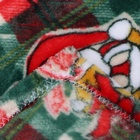 Плед Адель Рождество 100х140см, велсофт 280г/м, пэ100% - фото 24987112