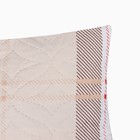 Подушка декоративная Лондон 40х40см (фас. 2шт), красный, полисатин, пэ 100% - Фото 2