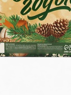 Подарочный набор новогодний «Успехов в Новом 2026 году», чай 50 г, шоколад 70 г - Фото 13