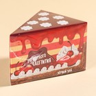 УЦЕНКА Чай в коробке-тортике "Приятного чаепития", 50 г - Фото 6