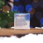 Новогодняя мазь Здоровые суставы, Архыз, 28 мл - Фото 4