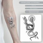 Татуировка на тело чёрная "Змей со стрелами" 10,5х6 см - фото 320480304