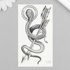 Татуировка на тело чёрная "Змей со стрелами" 10,5х6 см - фото 4841134