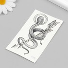Татуировка на тело чёрная "Змей со стрелами" 10,5х6 см - Фото 3