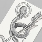 Татуировка на тело чёрная "Змей со стрелами" 10,5х6 см - фото 11014131