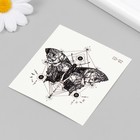 Татуировка на тело черная "Бабочка с геометрией" 8х7,5 см - Фото 2