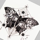 Татуировка на тело черная "Бабочка с геометрией" 8х7,5 см - Фото 3