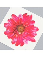 Переводная тату на тело цветная «Хризантема», 6×6 см - фото 42901706