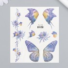 Татуировка на тело цветная "Крылья бабочек" блестки 12х10,5 см - фото 320480536