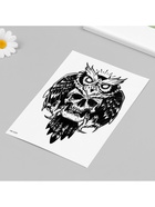 Переводная тату на тело чёрная «Филин и череп», 21×14.8 см - фото 43754456