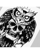Переводная тату на тело чёрная «Филин и череп», 21×14.8 см - фото 43754457
