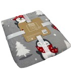 Плед Belezza Пингвинята на катке 150х200см, микрофибра 190г/м, пэ100% - фото 33390460