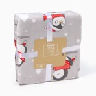 Плед Belezza Пингвинята на катке 150х200см, микрофибра 190г/м, пэ100% - фото 33390463