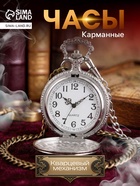 Часы карманные «СССР», кварцевые, d=4.7 см, серебристые - Фото 1