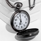 Часы карманные "Знаки зодиака", кварцевые, циферблата d=3.5 см, цепочка 80 см - Фото 5