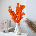 Сухоцвет персикого дерева, 50 г, длина — 70 см, цвет оранжевый - фото 4992169
