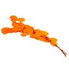 Сухоцвет персикого дерева, 50 г, длина — 70 см, цвет оранжевый - фото 9123004