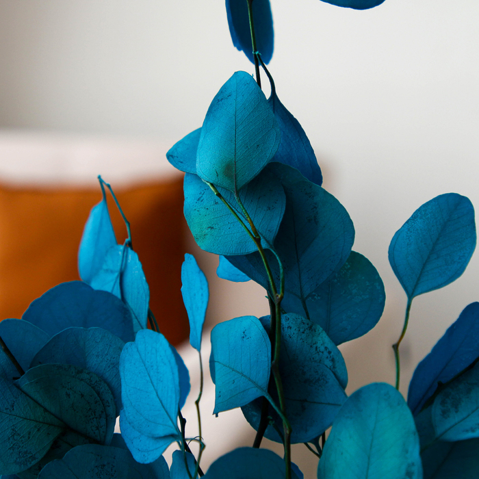 Сухоцвет персикого дерева , 50 гр, длина 70 см, цвет голубой