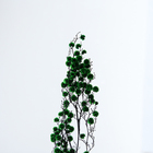 Сухие цветы «Молочай Миля» , 25 г, длина — 70 см, цвет зелёный - Фото 2