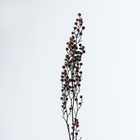 Сухие цветы «Молочай Миля» , 25 г, длина — 70 см, цвет розовый - фото 7839246