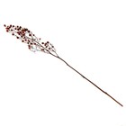 Сухие цветы «Молочай Миля», 25 г, длина — 70 см, цвет розовый - Фото 4