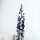 Сухие цветы «Молочай Миля» , 25 г, длина — 70 см, цвет фиолетовый - фото 7839249