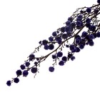 Сухие цветы «Молочай Миля» , 25 г, длина — 70 см, цвет фиолетовый - фото 9123025