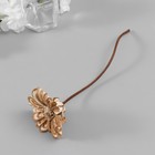 Палочки для аромадиффузора из ротанга «Цветок лотоса», набор 5 шт. - Фото 3