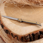 Нож складной "Дракон",  модель 444921,  , - фото 321711671