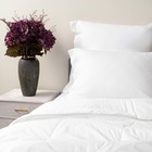 Одеяло, размер 220х240 см, цвет белый - фото 2187739