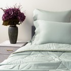 Одеяло, размер 220х240 см, цвет бирюзовый - фото 2187743