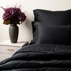 Одеяло, размер 220х240 см, цвет чёрный - фото 2187772