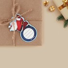 Шильдик декоративный на подарок «Дед Мороз на шаре», 4,6 х 7 см, Новый год - Фото 3