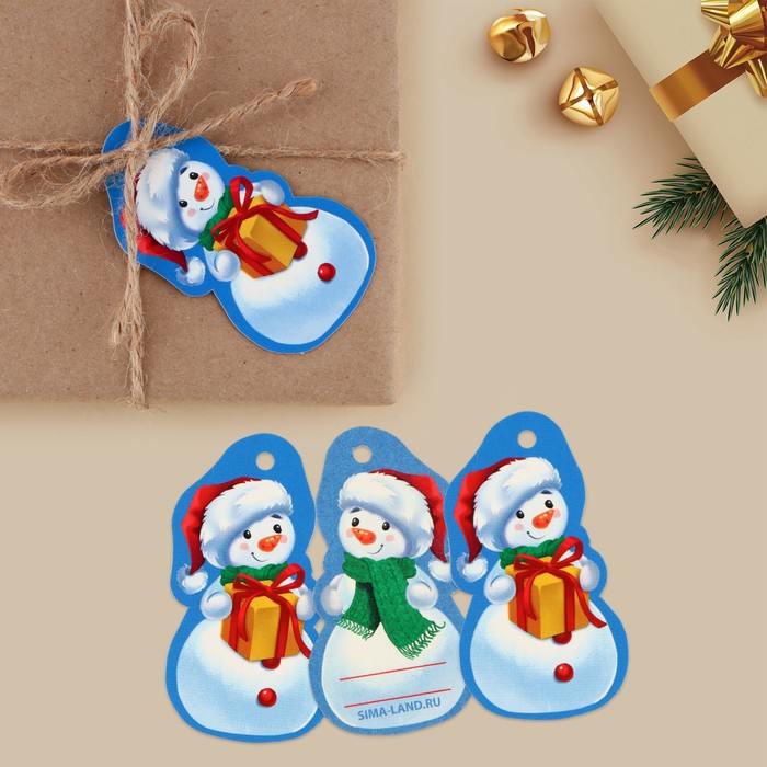 Шильдик декоративный на подарок «Снеговик», 4.2 × 7 см - Фото 1