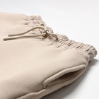 Костюм женский (толстовка/брюки) НАЧЁС, цвет темно-кремовый, р-р L (46-48) 10120928