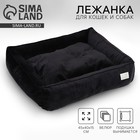 Лежанка для кошек и собак велюровая Pet Lab, 55×50×15 см, черная - Фото 1