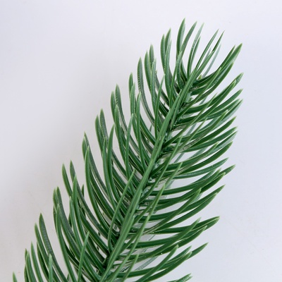 Ветка еловая зелёная, набор 10 шт.
