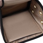 Сумка-переноска "Мини" 25 х 21 х 16 см, коричневая - фото 23213393