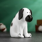 Копилка "Собачка сидит" черно-белая, 12х6,5см - фото 4397727