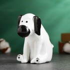 Копилка "Собачка сидит" черно-белая, 12х6,5см - фото 7840119