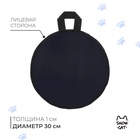 Ледянка эконом Snow Cat, d=30 см, толщина 1 см, цвет МИКС - Фото 1