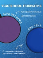 Ледянка эконом Snow Cat, d=30 см, толщина 1 см, цвет МИКС - Фото 3