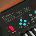 Синтезатор TERRIS TK-150, 16 тембров, полифония 4 ноты, 61 клавиша, черный - фото 26948533