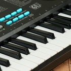 Синтезатор TERRIS TK-150, 16 тембров, полифония 4 ноты, 61 клавиша, черный - фото 26948534