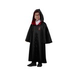 Карнавальный костюм Гарри Поттер, плащ, очки, р.116-60 - фото 11438295