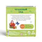 Магнитная игра-головоломка «Чудесный сад», 48 карт, 4 детали, 7+ - Фото 7