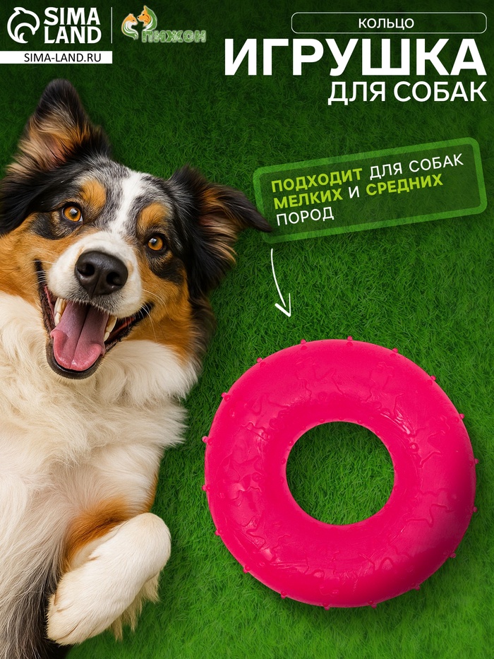 Жевательная игрушка для собак «Кольцо», 6.7×2 см, прозрачная, PP, розовая