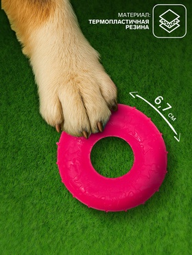Игрушка жевательная «Кольцо» прозрачная, PP, 6.7×2 см, розовая